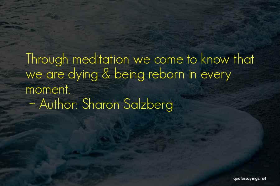 Idriss Deby Quotes By Sharon Salzberg