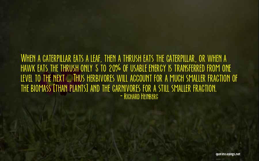 Idumeans Quotes By Richard Heinberg Idumeans Quotes By Richard Heinberg