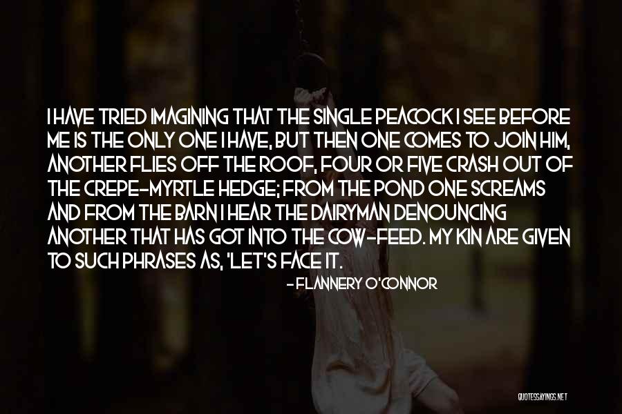 Iea Equestrian Quotes By Flannery O'Connor Iea Equestrian Quotes By Flannery O'Connor