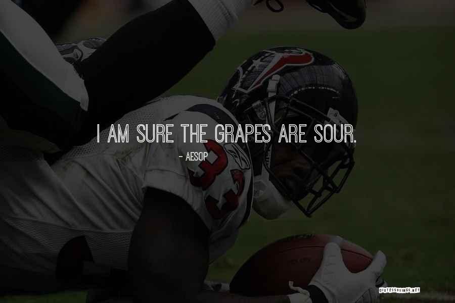 Iearn Usa Quotes By Aesop Iearn Usa Quotes By Aesop