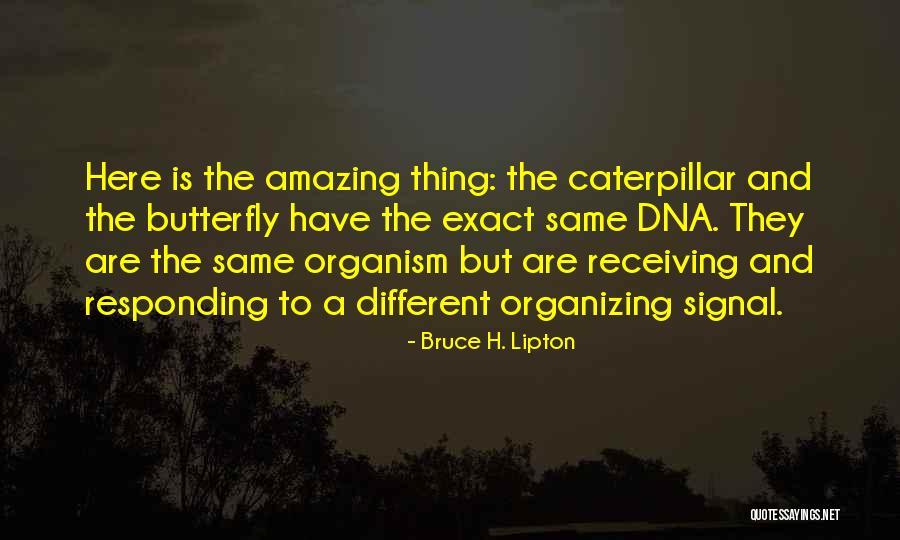 Ieasha Mullins Quotes By Bruce H. Lipton Ieasha Mullins Quotes By Bruce H. Lipton