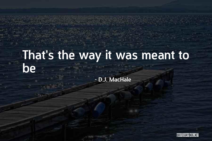 Ieroklis Michaelidis Quotes By D.J. MacHale Ieroklis Michaelidis Quotes By D.J. MacHale