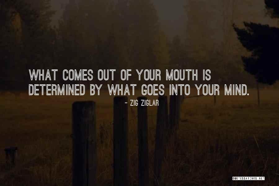 Ierse Fluit Quotes By Zig Ziglar Ierse Fluit Quotes By Zig Ziglar