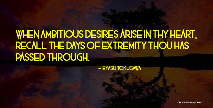 Ieyasu Quotes By Ieyasu Tokugawa