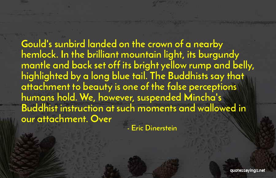 If A Man Cheats Once Quotes By Eric Dinerstein If A Man Cheats Once Quotes By Eric Dinerstein