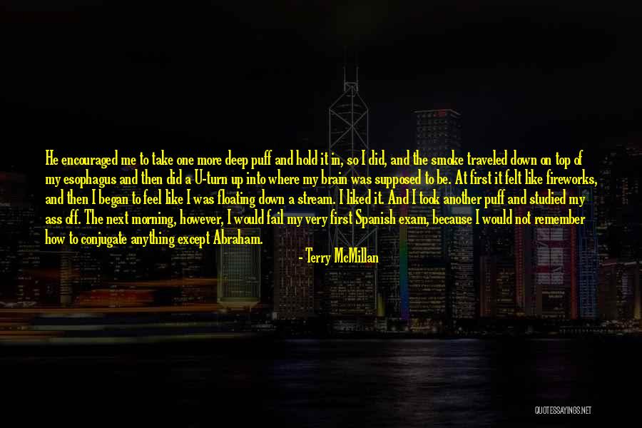 If At First You Fail Quotes By Terry McMillan If At First You Fail Quotes By Terry McMillan