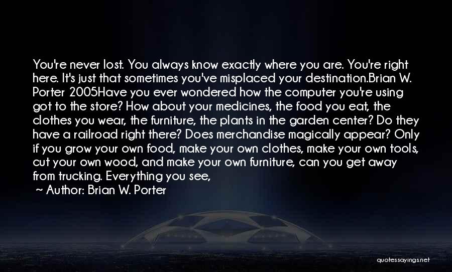 If Ever Lost You Quotes By Brian W. Porter