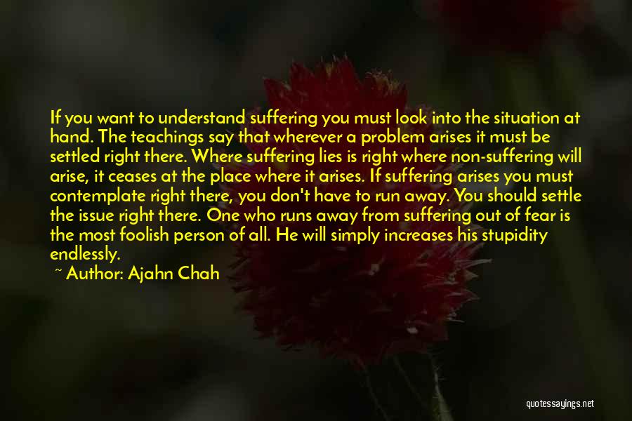 If He Lies To You Quotes By Ajahn Chah