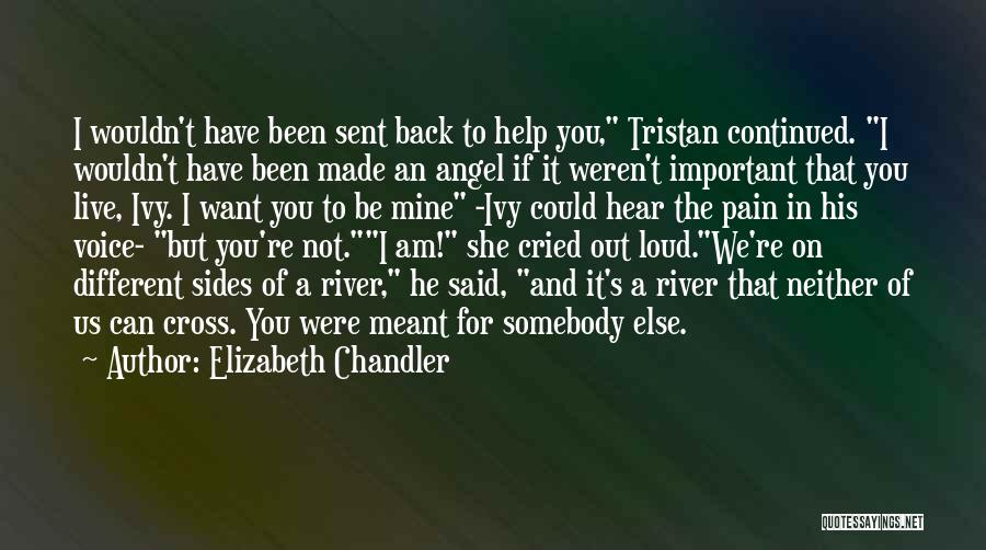 If I Am Important To You Quotes By Elizabeth Chandler