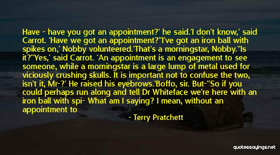 If I Am Important To You Quotes By Terry Pratchett