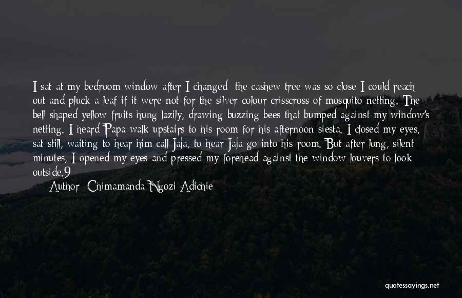 If I Close My Eyes Quotes By Chimamanda Ngozi Adichie