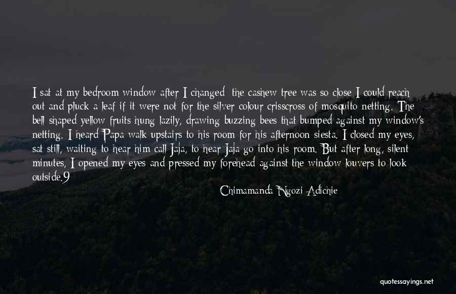 If I Close My Eyes Quotes By Chimamanda Ngozi Adichie