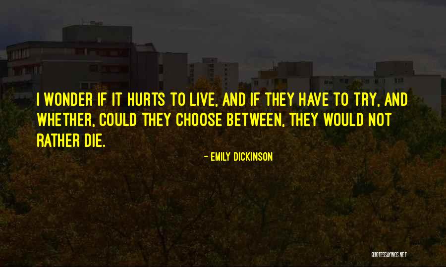 If I Could Choose Quotes By Emily Dickinson If I Could Choose Quotes By Emily Dickinson