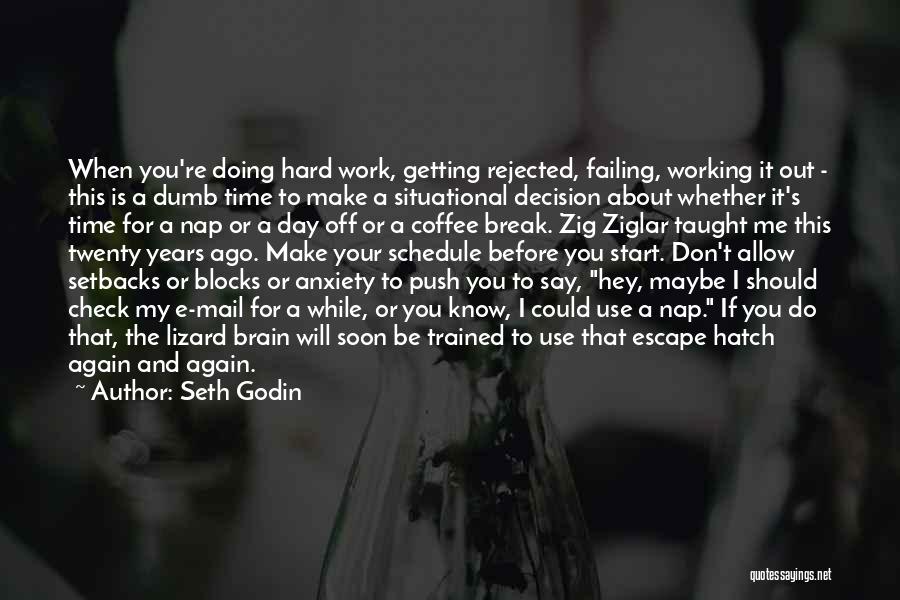 If I Could Do It Again Quotes By Seth Godin