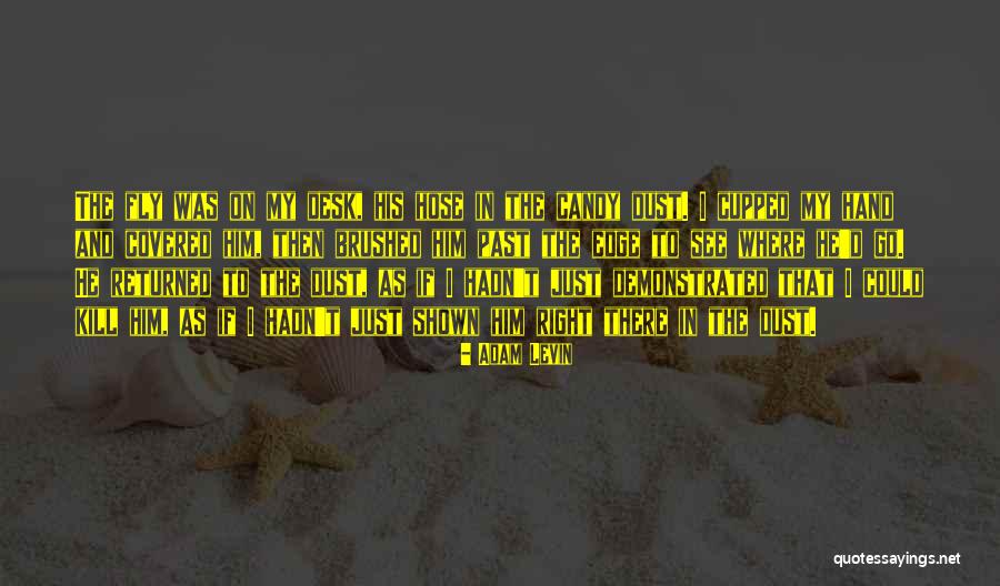 If I Could Fly Quotes By Adam Levin If I Could Fly Quotes By Adam Levin