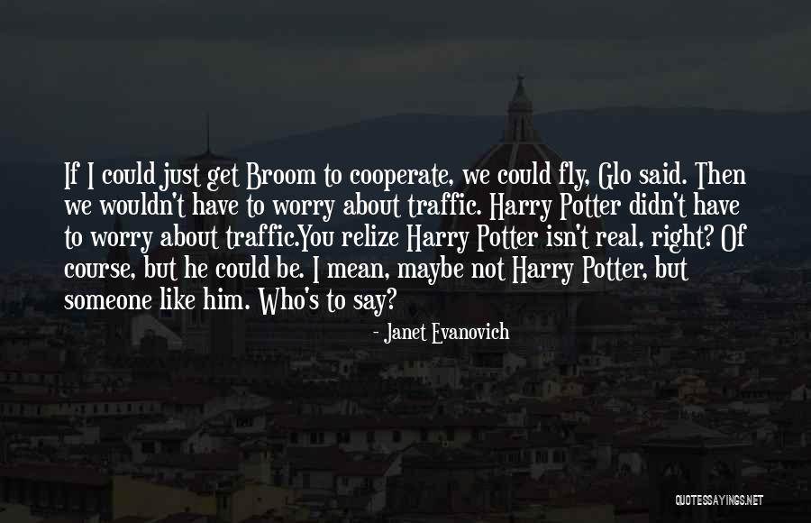 If I Could Fly Quotes By Janet Evanovich If I Could Fly Quotes By Janet Evanovich