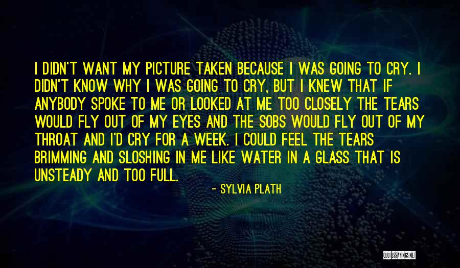 If I Could Fly Quotes By Sylvia Plath If I Could Fly Quotes By Sylvia Plath