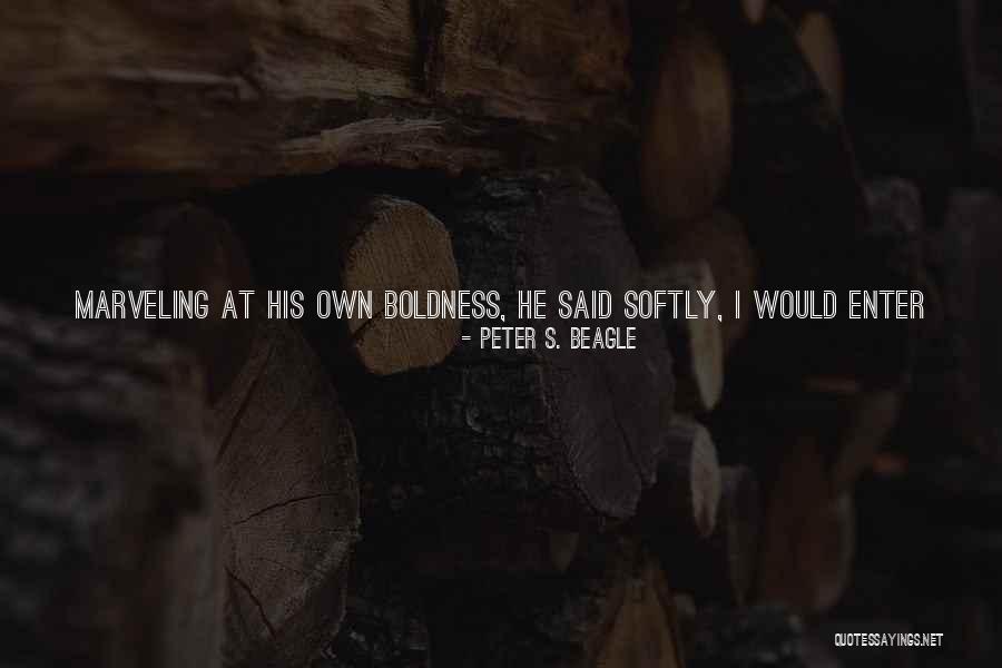 If I Could Love Quotes By Peter S. Beagle If I Could Love Quotes By Peter S. Beagle