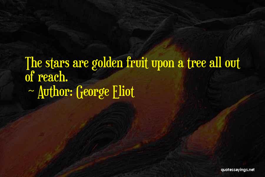 If I Could Reach The Stars Quotes By George Eliot