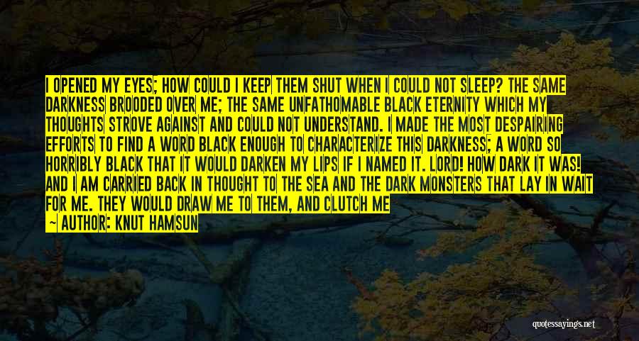 If I Could Sleep Quotes By Knut Hamsun