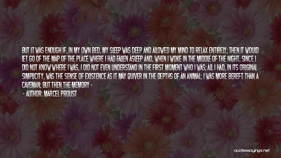 If I Could Sleep Quotes By Marcel Proust