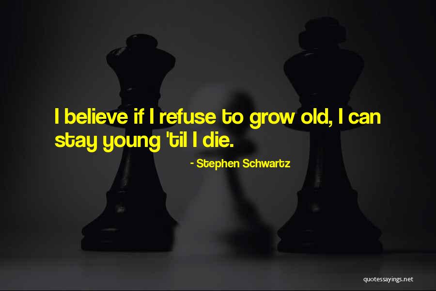 If I Die Young Quotes By Stephen Schwartz