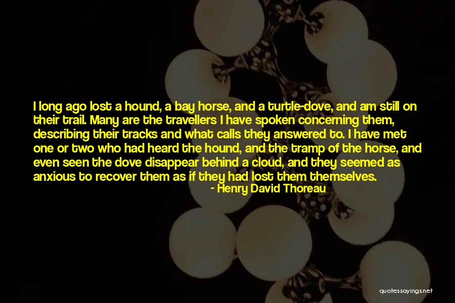 If I Disappear Quotes By Henry David Thoreau If I Disappear Quotes By Henry David Thoreau