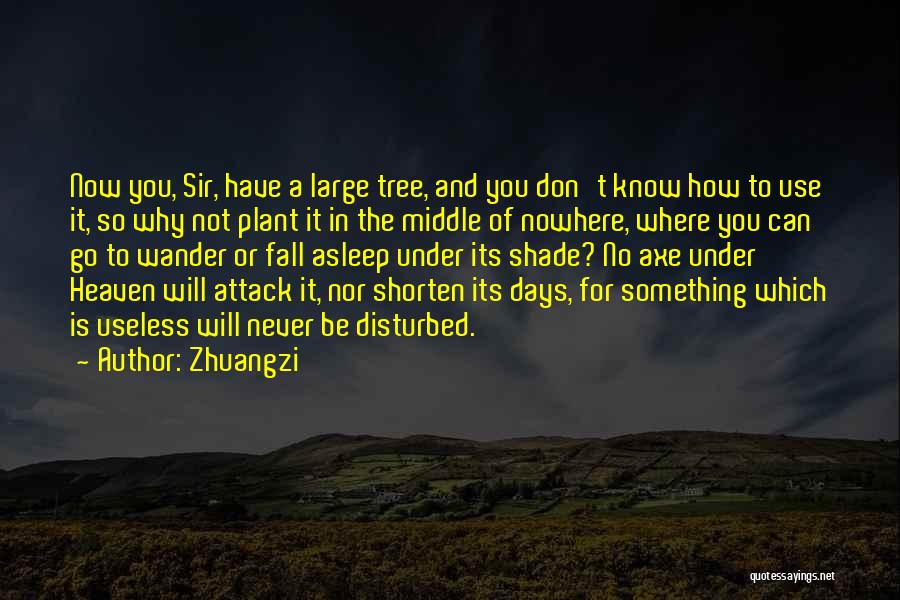 If I Don't Fall Asleep Quotes By Zhuangzi