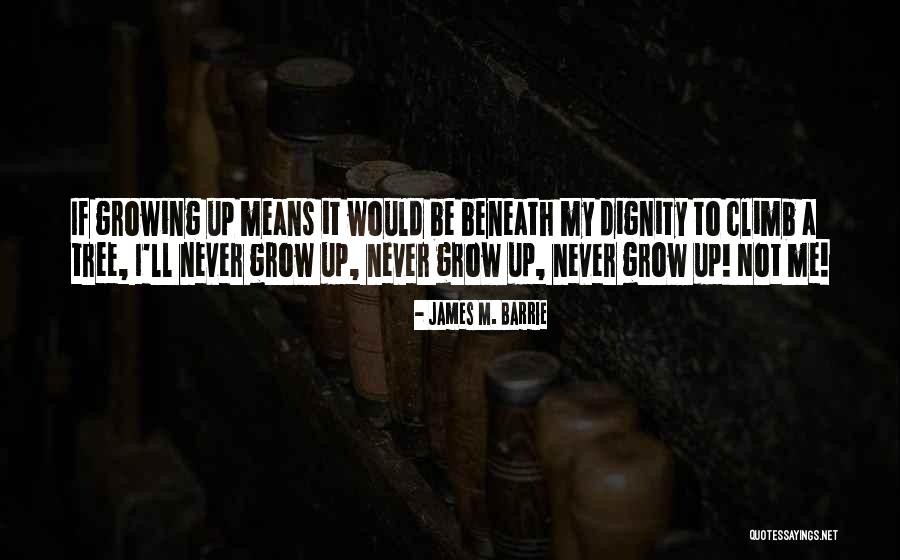 If I Grow Up Quotes By James M. Barrie