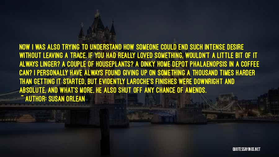 If I Had A Chance Quotes By Susan Orlean