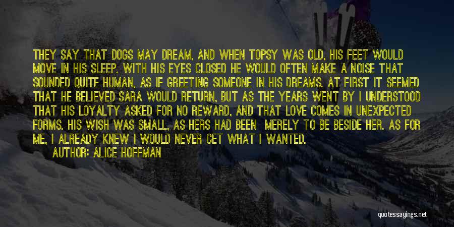 If I Had A Dream Quotes By Alice Hoffman