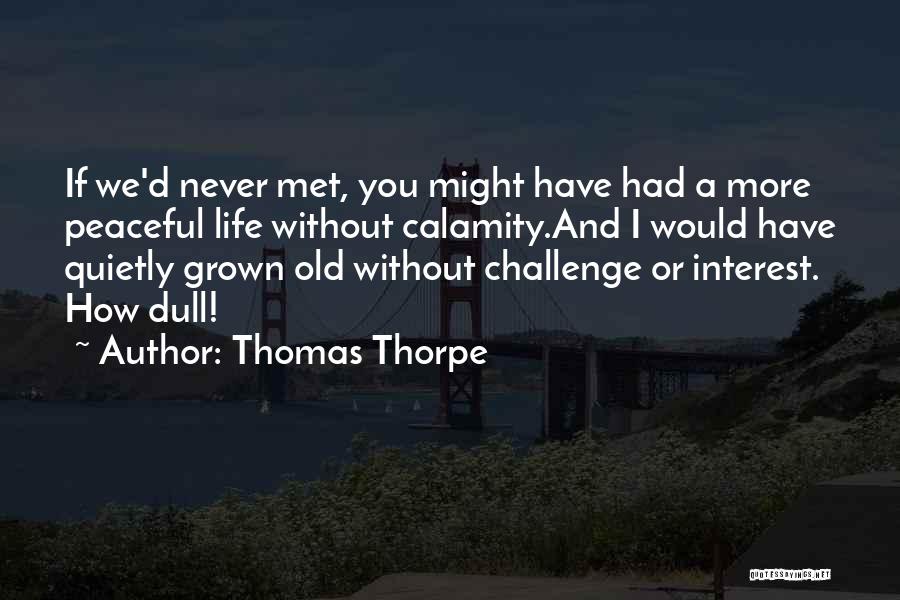 If I Had Never Met You Quotes By Thomas Thorpe