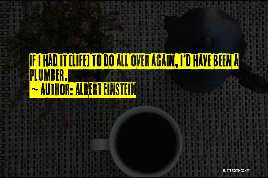 If I Had To Do It All Over Again Quotes By Albert Einstein