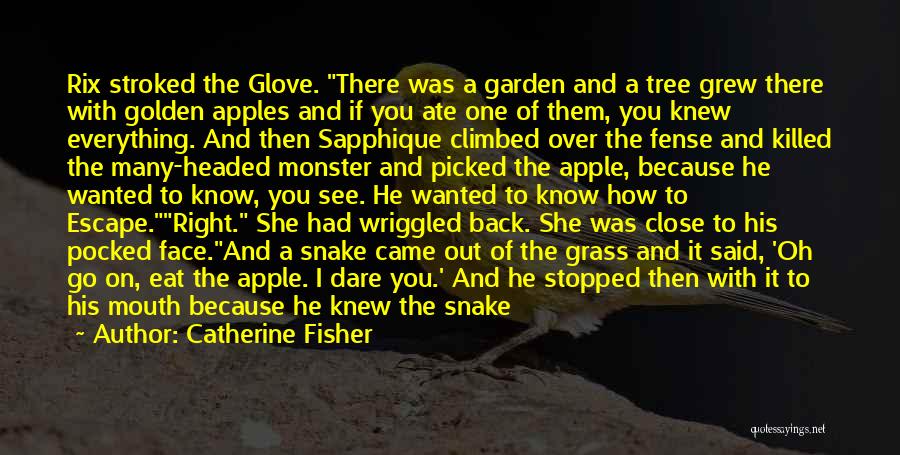 If I Knew Then Quotes By Catherine Fisher