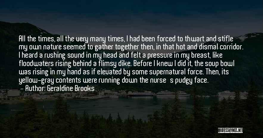 If I Knew Then Quotes By Geraldine Brooks