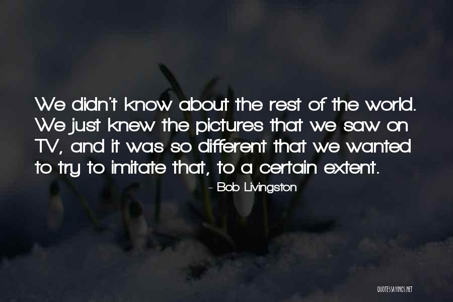 If I Knew Then What I Know Now Quotes By Bob Livingston