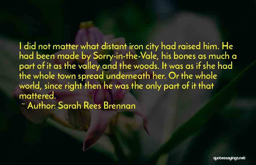 If I Mattered Quotes By Sarah Rees Brennan