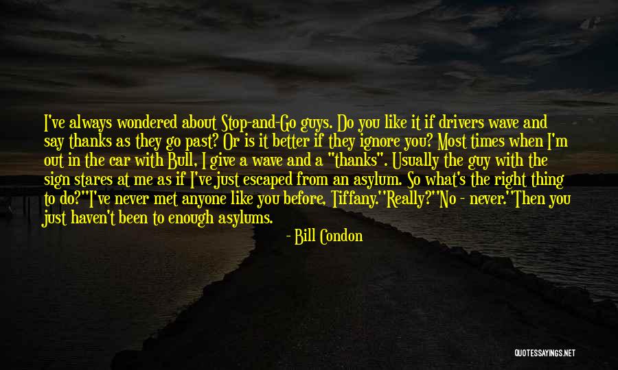 If I Never Met You Quotes By Bill Condon