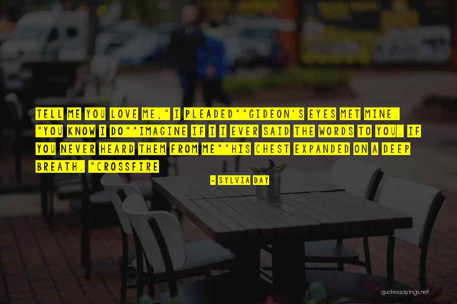 If I Never Met You Quotes By Sylvia Day If I Never Met You Quotes By Sylvia Day