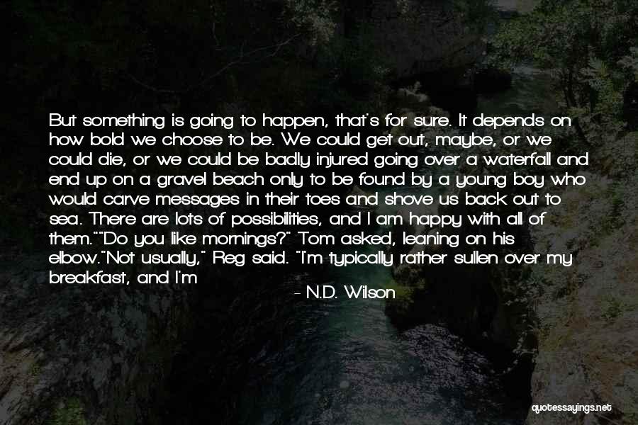 If I Said I Miss You Quotes By N.D. Wilson