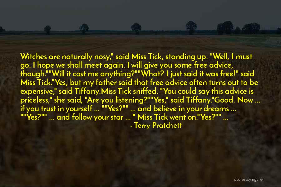 If I Said I Miss You Quotes By Terry Pratchett