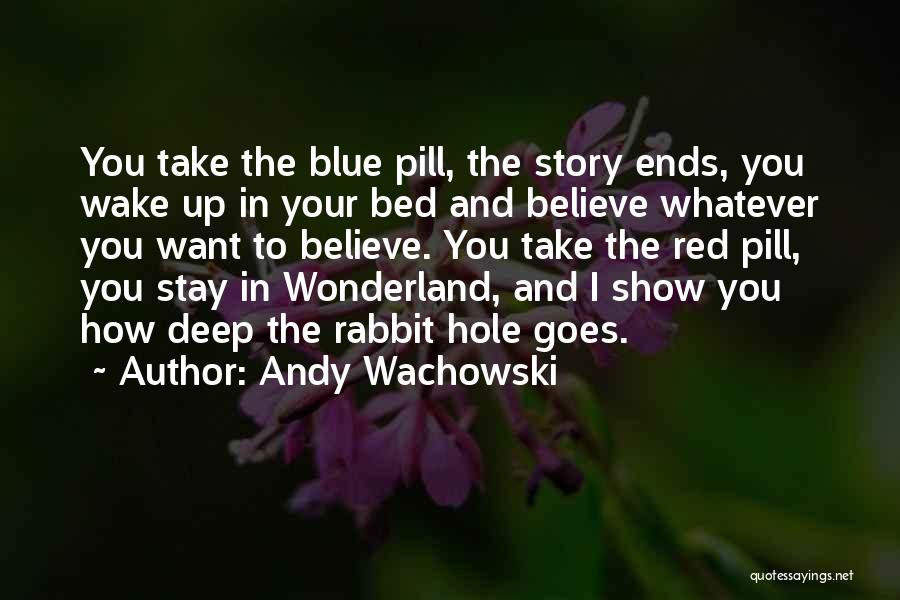 If I Stay Story Quotes By Andy Wachowski
