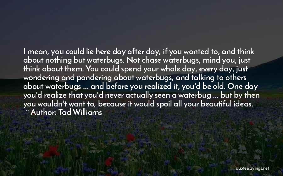 If I Talking To You Quotes By Tad Williams