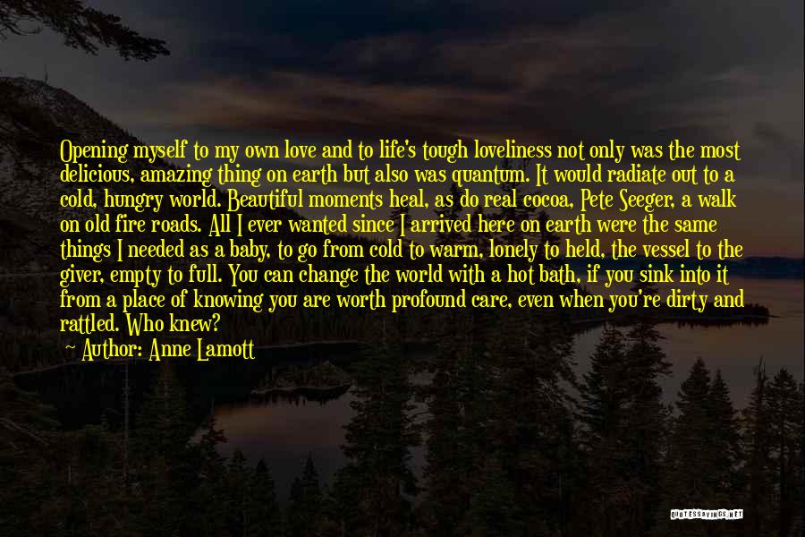 If I Was Worth It Quotes By Anne Lamott