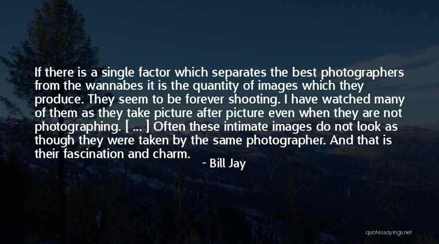 If I Were Single Quotes By Bill Jay If I Were Single Quotes By Bill Jay