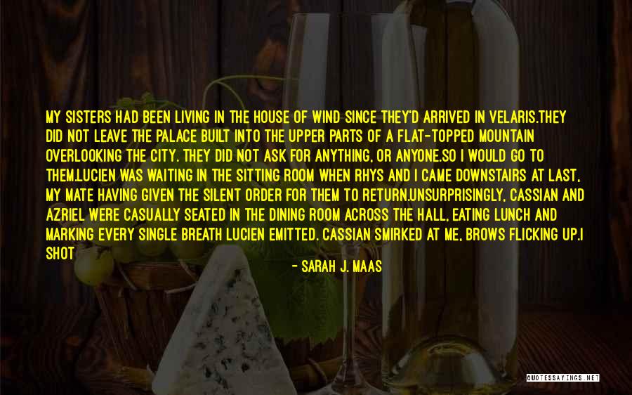 If I Were Single Quotes By Sarah J. Maas If I Were Single Quotes By Sarah J. Maas