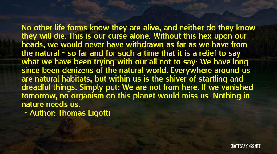 If I Would Die Tomorrow Quotes By Thomas Ligotti