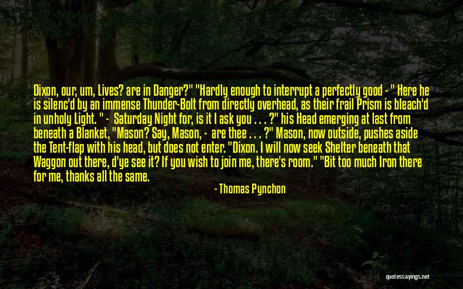 If I'm Not Good Enough Now Quotes By Thomas Pynchon