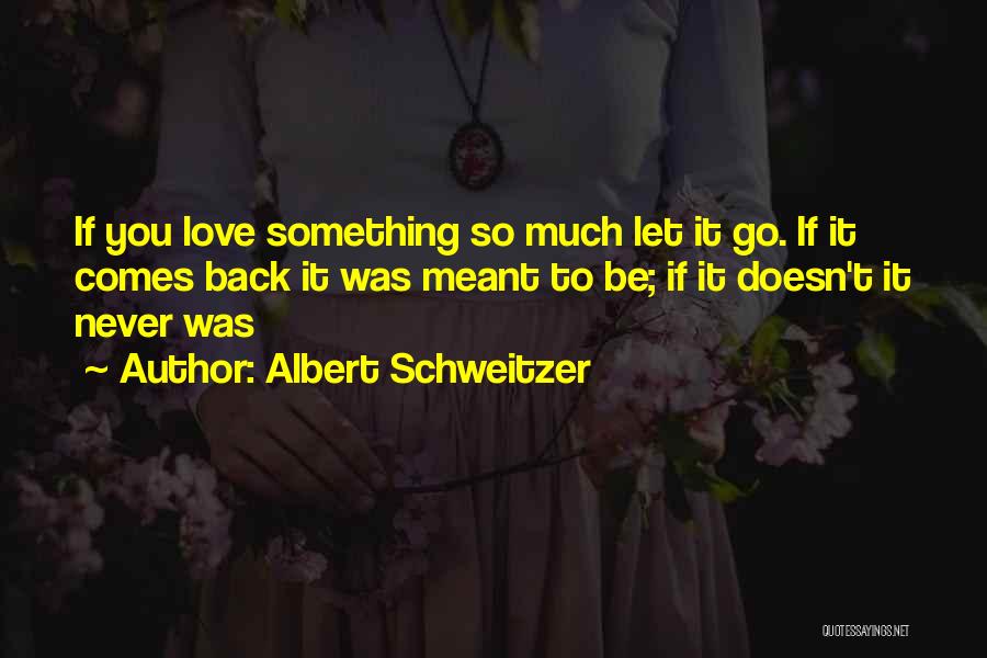 If It Comes Back To You Quotes By Albert Schweitzer