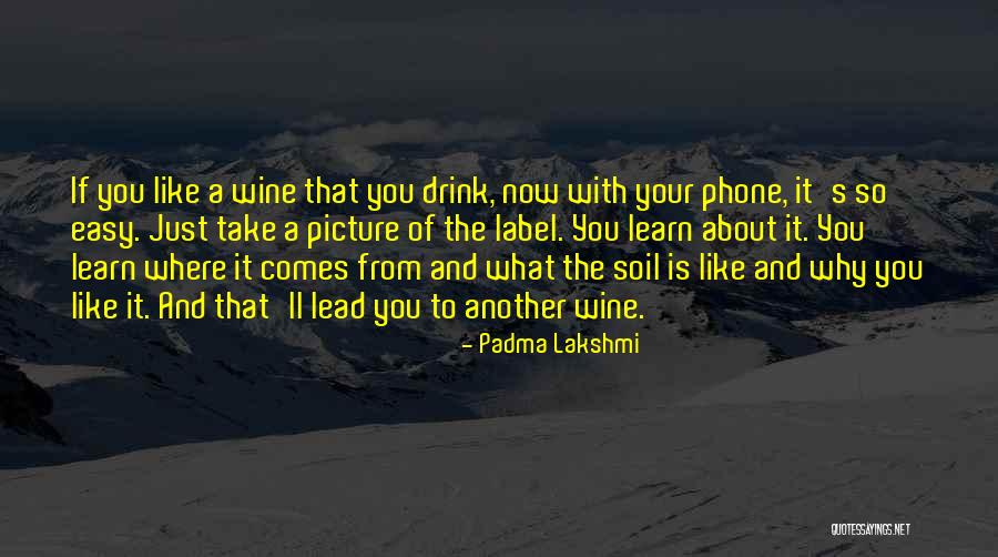 If It Comes Easy Quotes By Padma Lakshmi If It Comes Easy Quotes By Padma Lakshmi